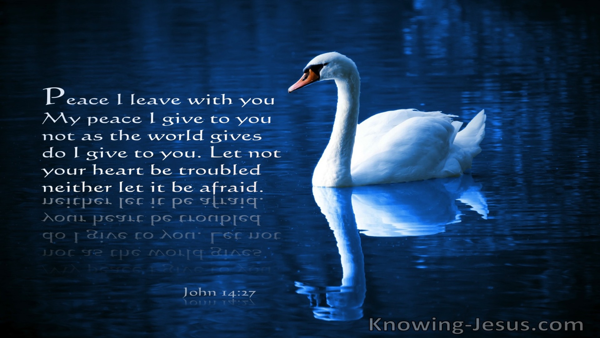 John 14:27 Let Not Your Heart Be Troubled (navy)